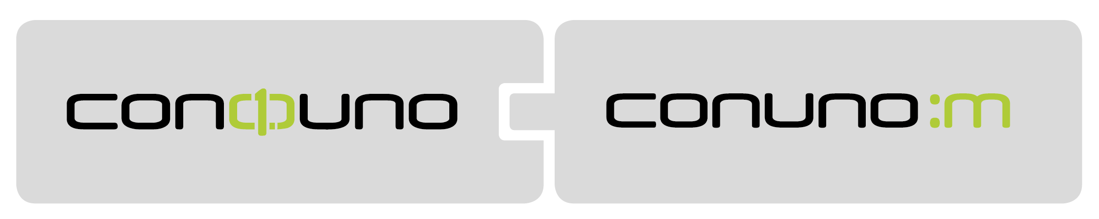SAP-Beratung, Management-Beratung
